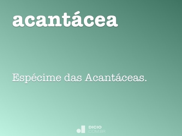 acantácea