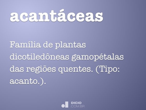acantáceas