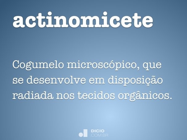actinomicete