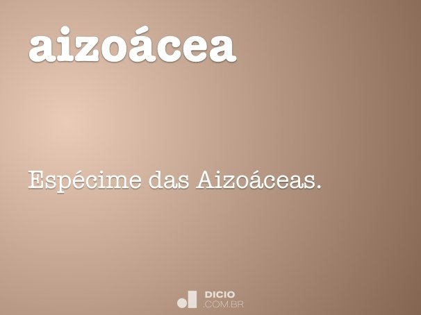 aizoácea