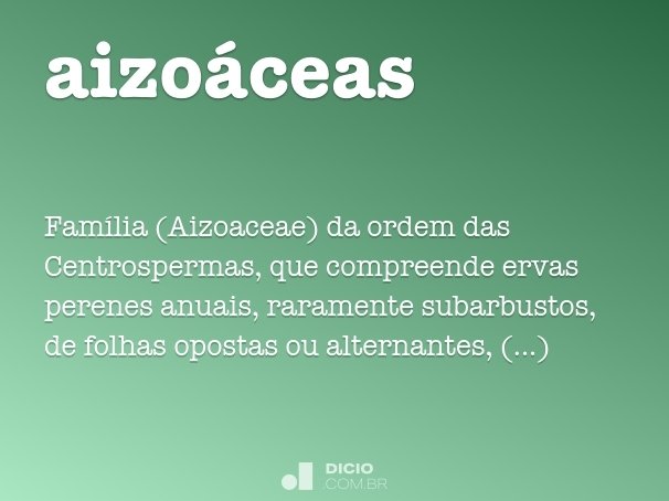 aizoáceas