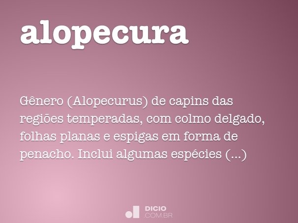 alopecura