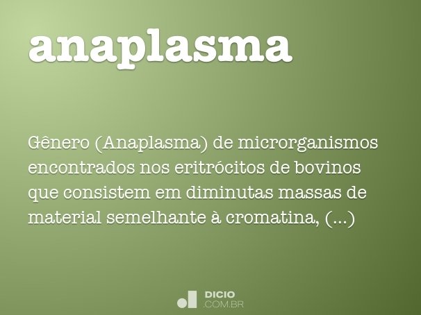 anaplasma