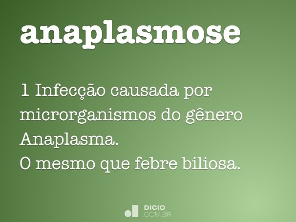 anaplasmose