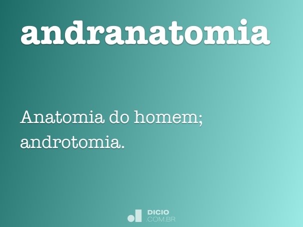 andranatomia