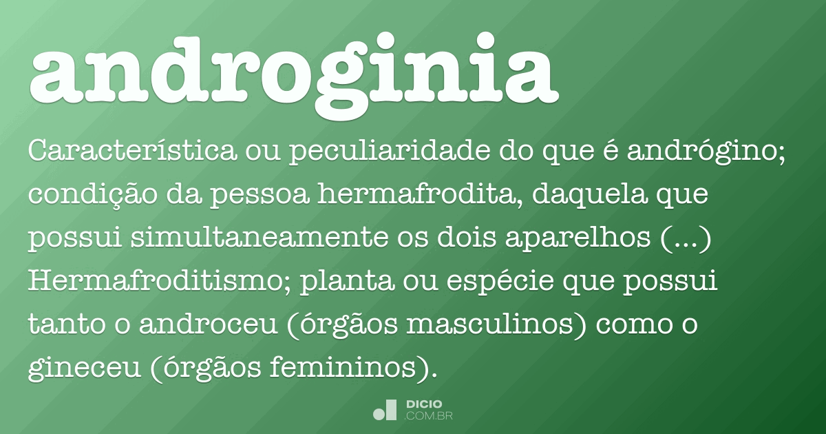 Androginia Dicio, Dicionário Online de Português