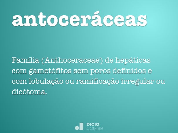 antoceráceas