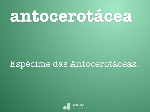 antocerotácea
