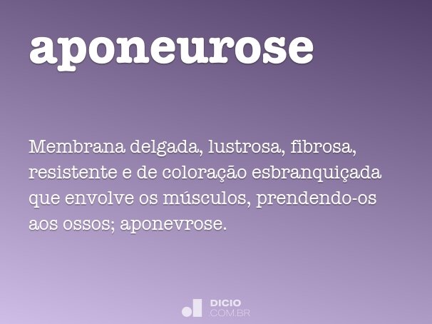 aponeurose