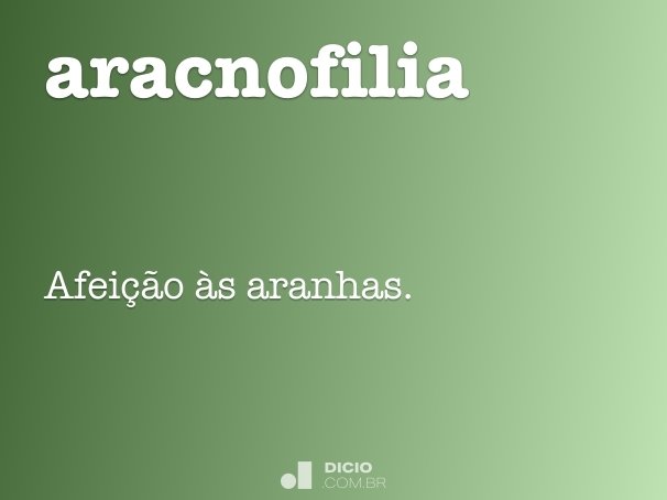 aracnofilia