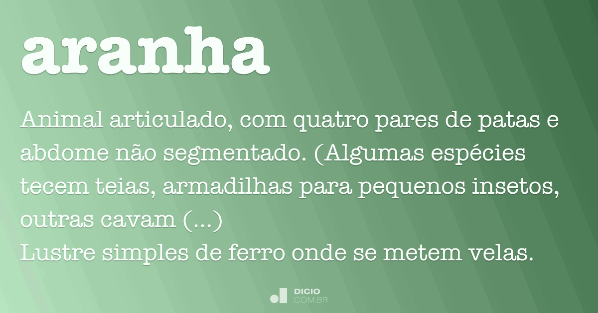 significado de aranha dentro de casa