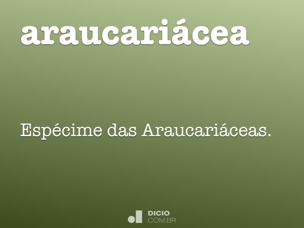 araucariácea
