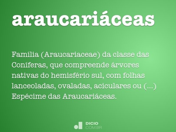 araucariáceas