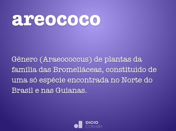 areococo