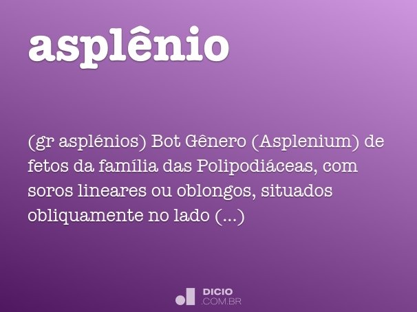 asplênio