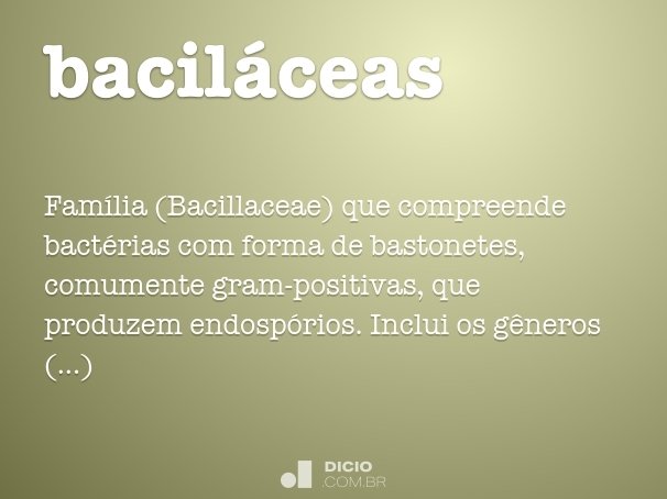 baciláceas