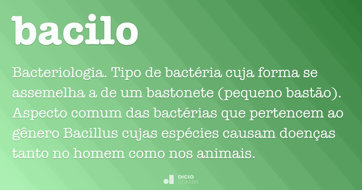 Bacilo Dicio, Dicionário Online de Português