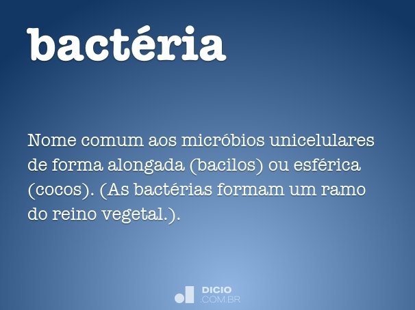 bactéria