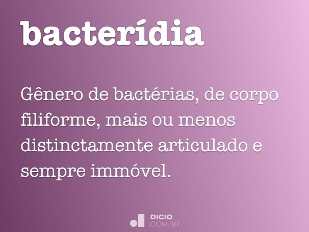 bacterídia