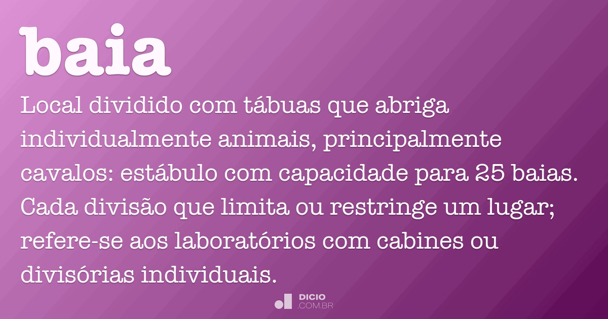 Baia Dicio, Dicionário Online de Português