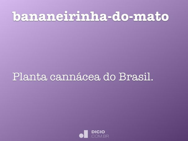 bananeirinha-do-mato