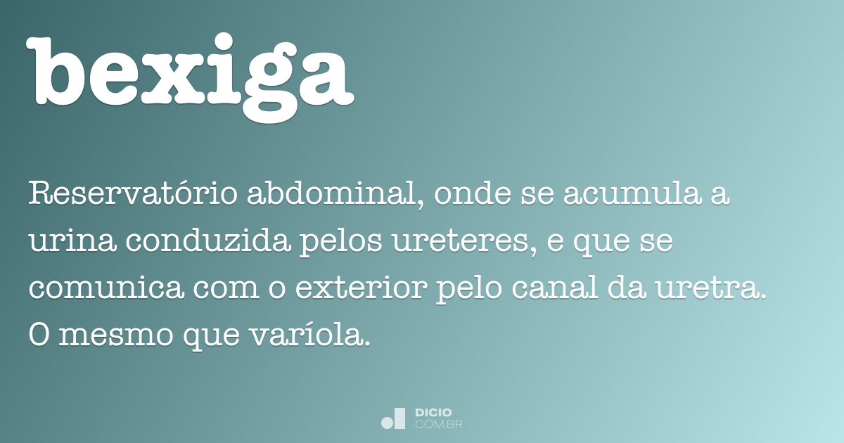 Bexiga Significado Bexiga Significado