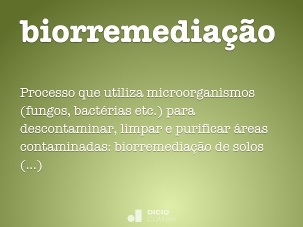 biorremediação