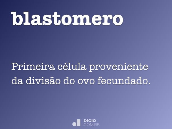 blastomero