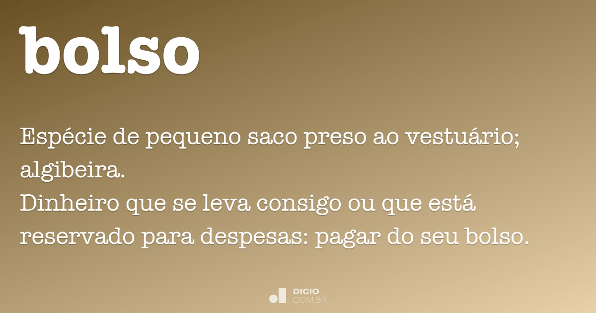 Bolso - Dicio, Dicionário Online de Português