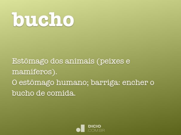 Bucho - Dicio, Dicionário Online de Português