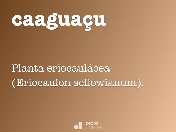 caaguaçu