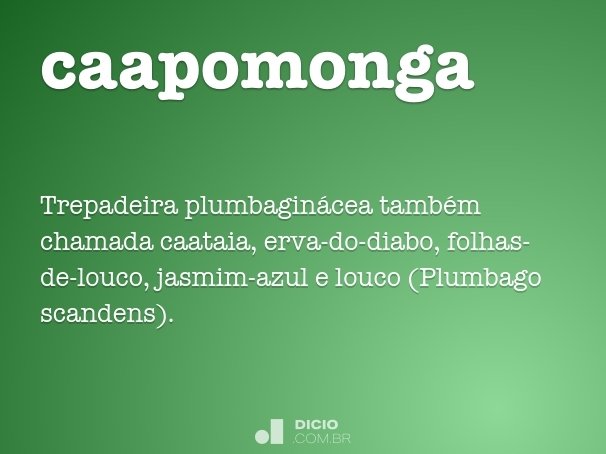 caapomonga