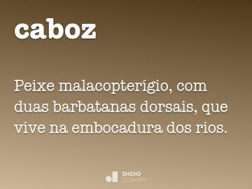 Malacopterígio - Dicio, Dicionário Online de Português