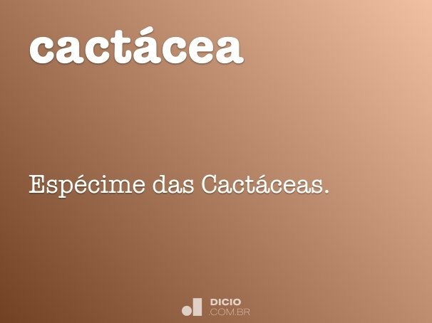 cactácea