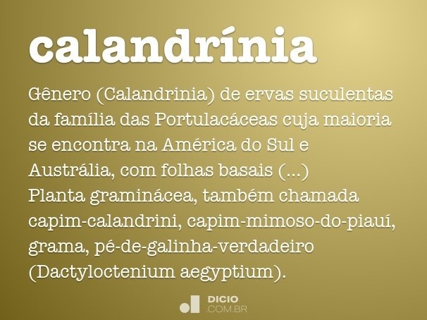 calandrínia