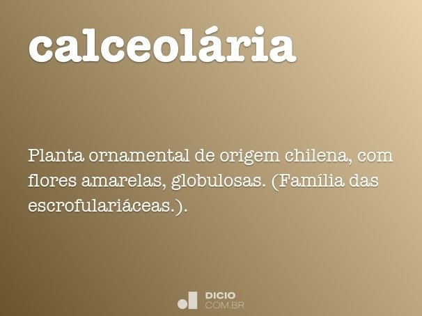 calceolária