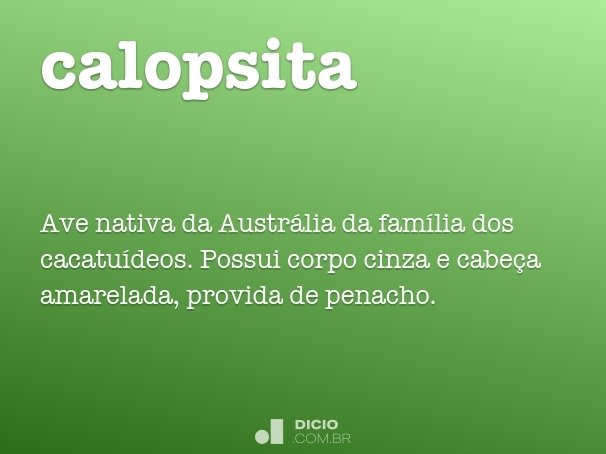 calopsita