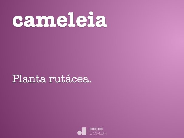 cameleia