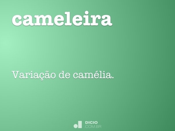 cameleira
