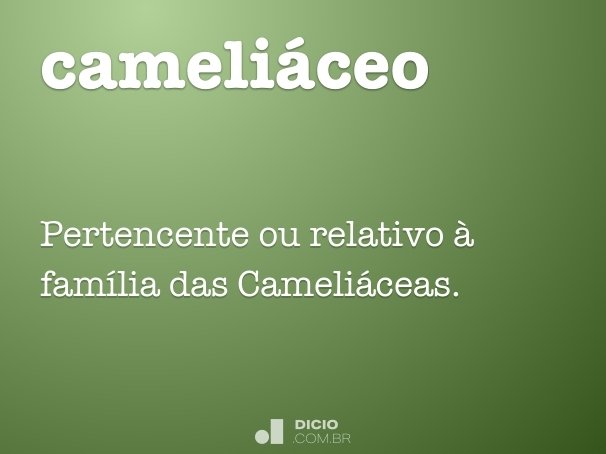cameliáceo