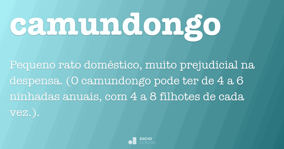 O Camundongo