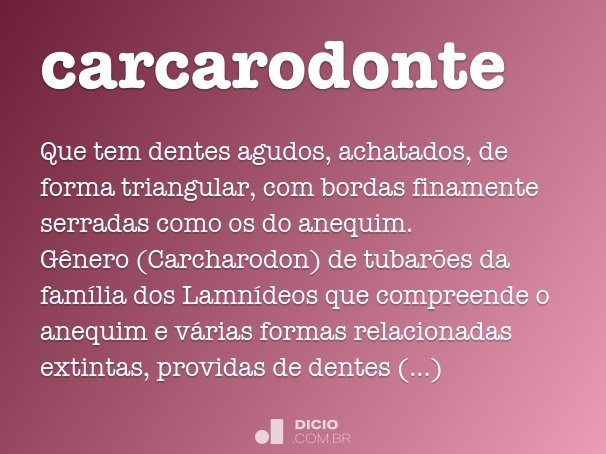 carcarodonte