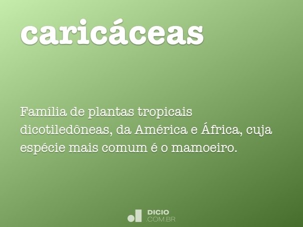 caricáceas