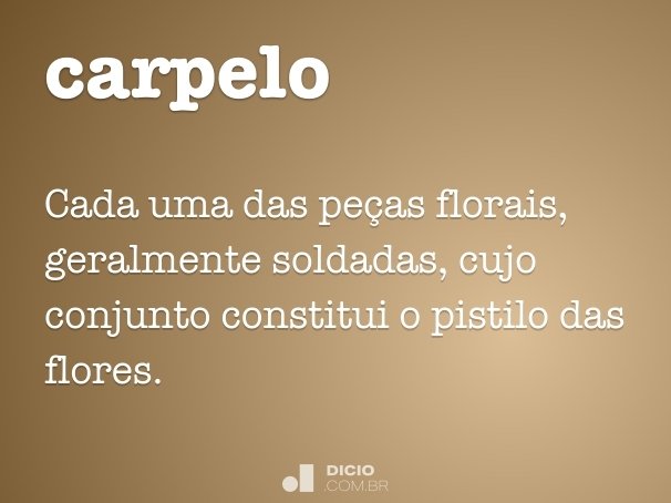 carpelo