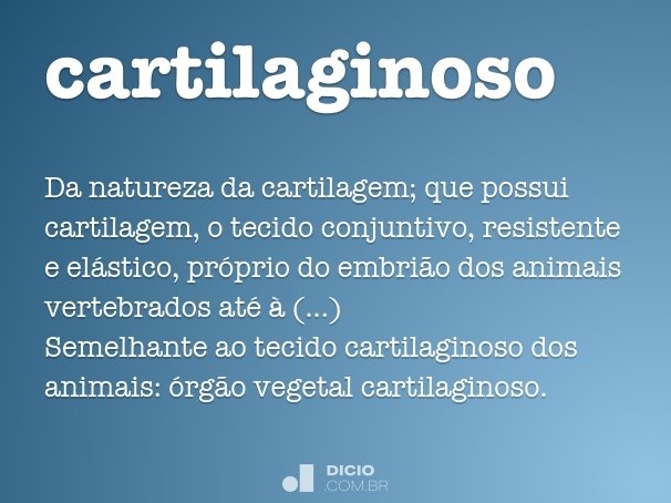 cartilaginoso