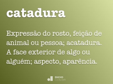 Caradura - Dicio, Dicionário Online de Português