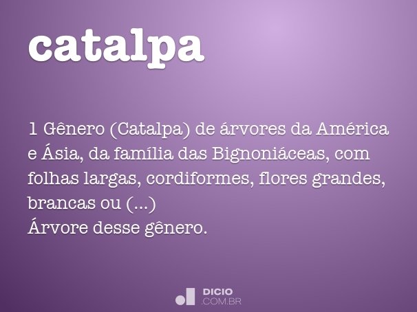 catalpa