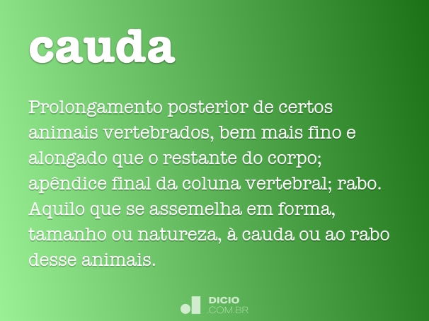 cauda