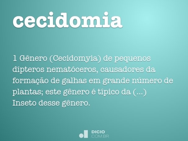 cecidomia