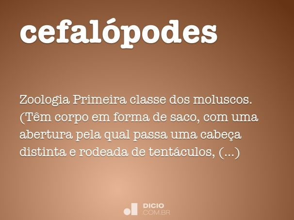 cefalópodes